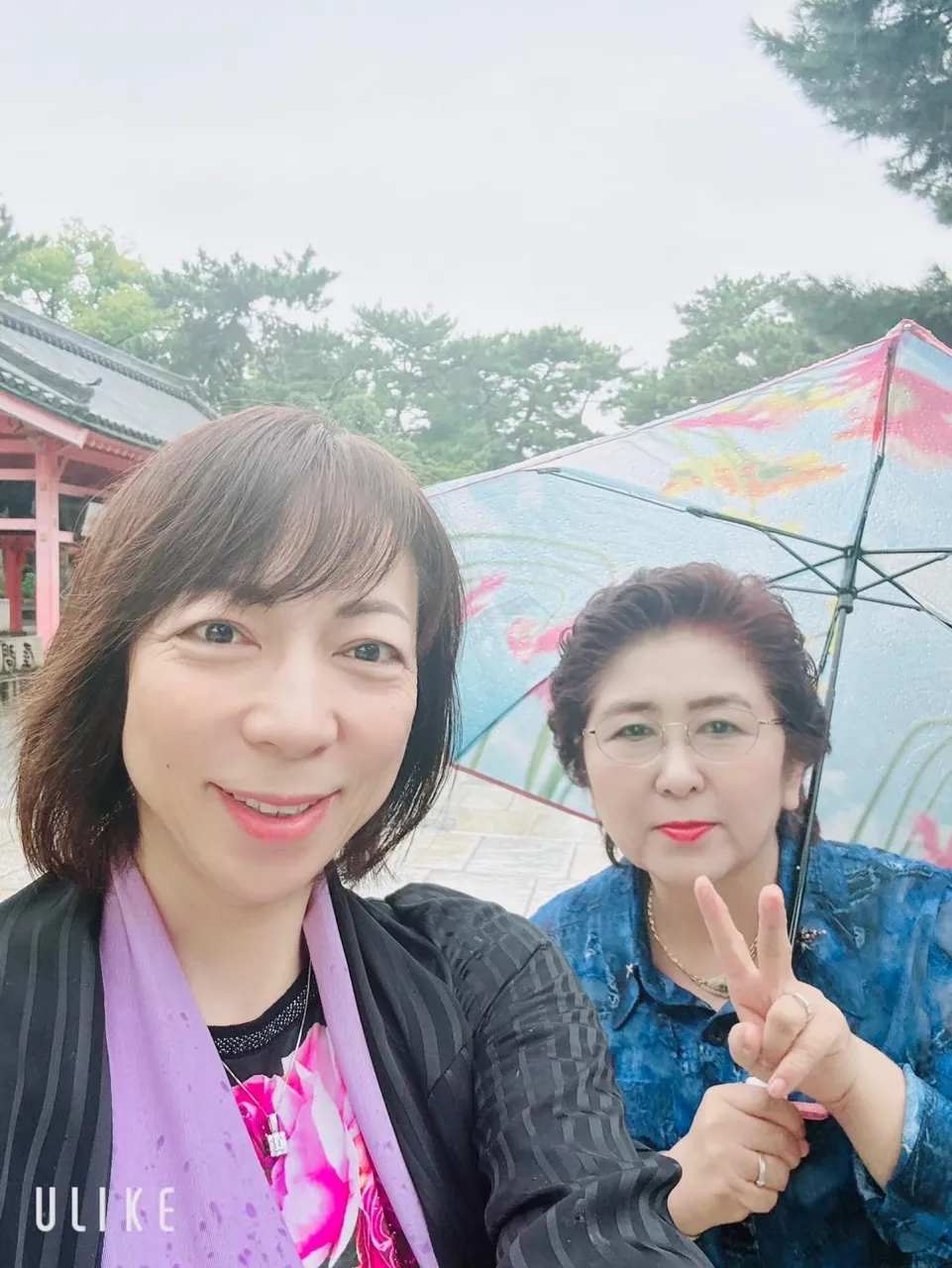 大阪での静かな一日。