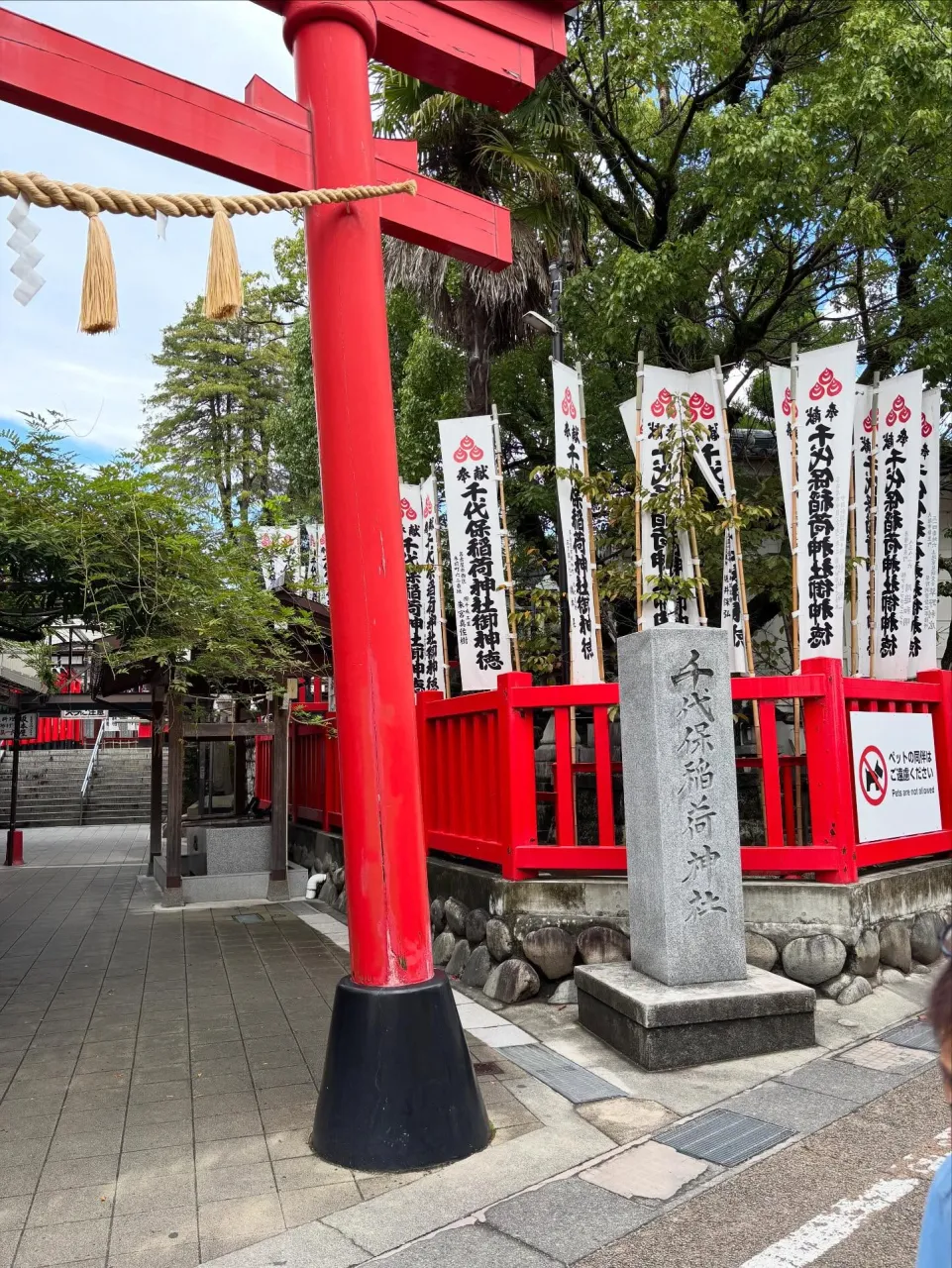 暑さが残る10月。
